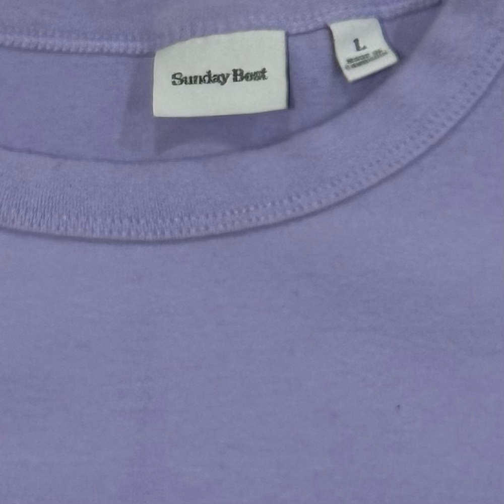 Aritzia Sunday Best Short Sleeve Cotton Crop Top, L, Light Purple Tee - Picture 3 of 6